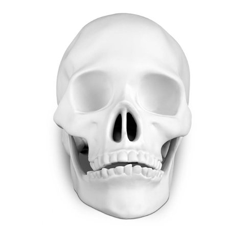 L'Objet Skull Modern Classic White Porcelain Scuplture | Kathy Kuo Home