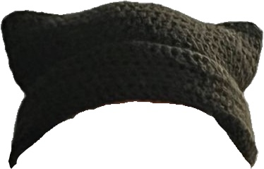 Cat Ears Crochet Hat