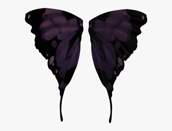 Transparent Realistic Fairy Wings Png - Black Transparent Png Wings , Free Transparent Clipart - ClipartKey