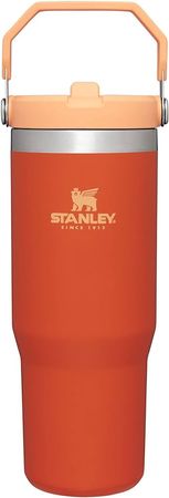Amazon.com: Stanley IceFlow™ Flip Straw Tumbler 30oz Pool Swirl : Home & Kitchen