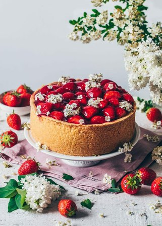 Best Vegan Cheesecake with Strawberries - Bianca Zapatka | Recipes