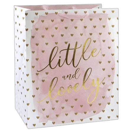 XLarge 'Little & Lovely' Hearts Baby Shower Gift Bag Pink/Gold - Spritz™