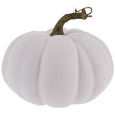 White pumpkin Search Results | Hobby Lobby