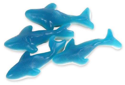 gummy sharks