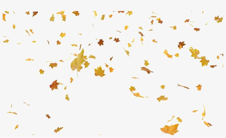 falling leaves - Google Search