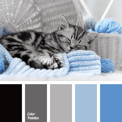 Black Color Palettes | Page 6 of 60 | Color Palette Ideas