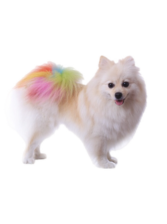 dogs rainbow colors