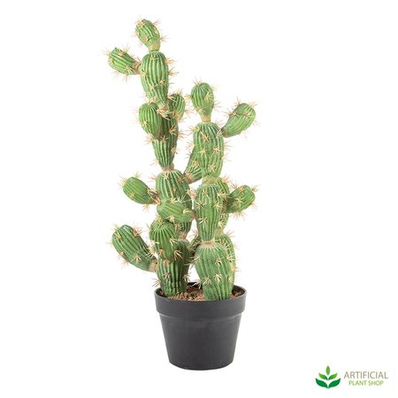 Vegas Cactus potted 72cm