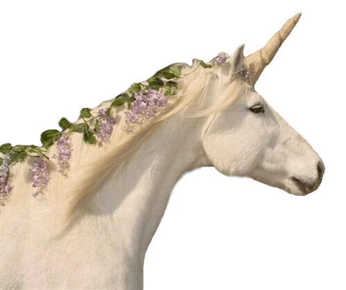 Unicorn Transparent & Overlay Requested By... - Transparents