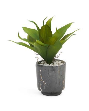 14in Faux Aloe Plant - Maxximize Your Me Time - T.J.Maxx
