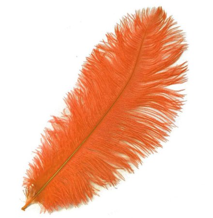 orange feather png