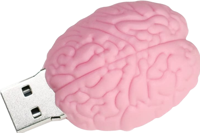 pink brain flashdrive