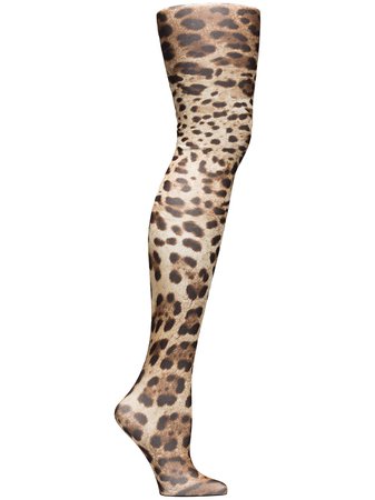Dolce & Gabbana leopard-print tights brown FC163AFSM4Z - Farfetch