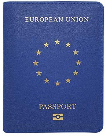 EU Passport Case/ Cover with Card Slots for ID, Passport, Credit Cards in EU Design - Faux Leather | Anti Brexit: Amazon.co.uk: Luggage