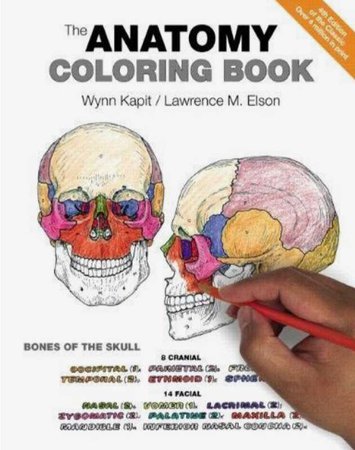 anatomy coloring book med school