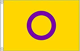 intersex flag - Google Search