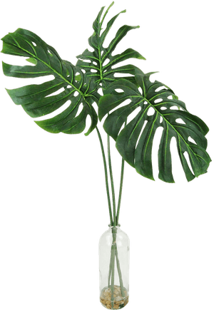 River Rocks and Philodendron Leaf's Plant in Decorative Vase | Decorist