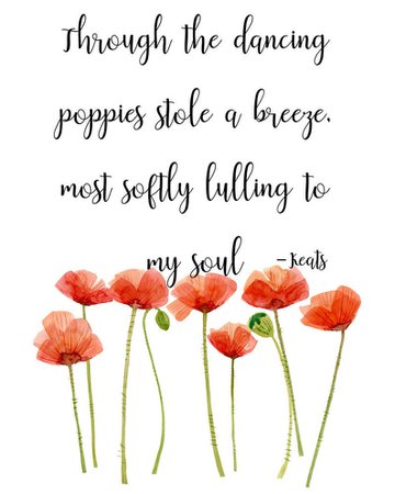 Poppies by Keats