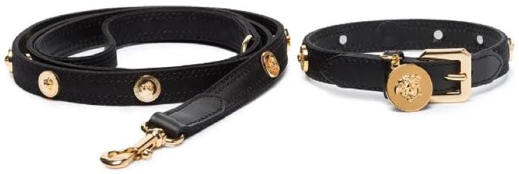 Versace Medusa stud collar and leash set