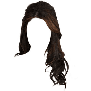 Dark Brown Hair PNG Half Up