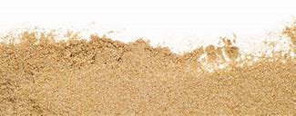 sand png-sable png