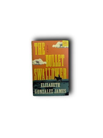 The Bullet Swallower books read reading