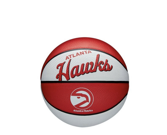 hawks mini basketball