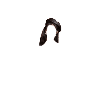 Dark Brown Hair Black Hat/Beret [Irene Hair]