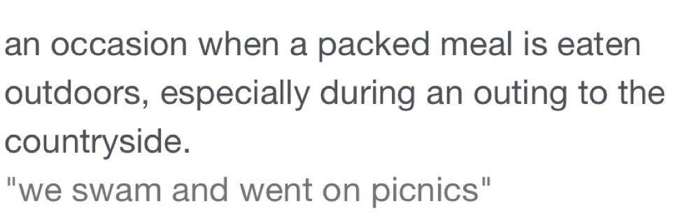picnic definition
