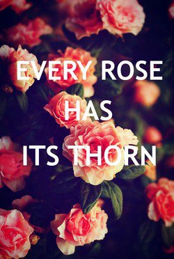 Quotes about Thorn (161 quotes)
