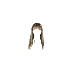 Ash Blonde and Gray Hair PNG