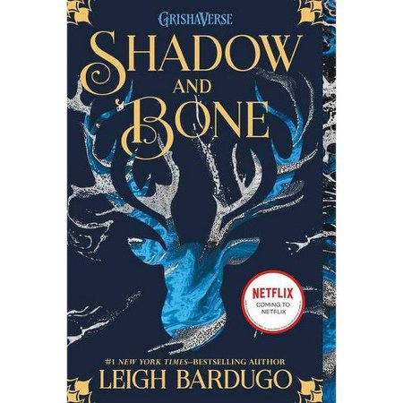 shadow and bone book - Google Search