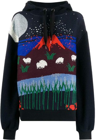 embroidered volcano hoodie