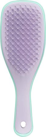 Tangle Teezer | The Mini Wet Detangler Hairbrush for Wet & Dry Hair | Perfect for Kids & Traveling | Eliminates Knots & Reduces Breakage | Wisteria Leaf
