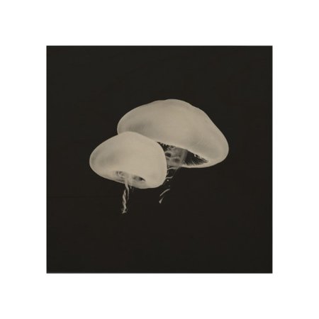 Jellyfish Wood Art | Zazzle.com