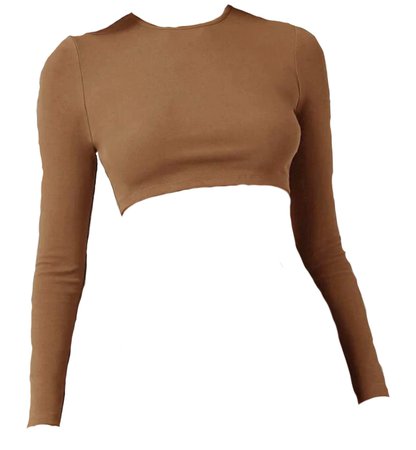 cropped brown t-shirt