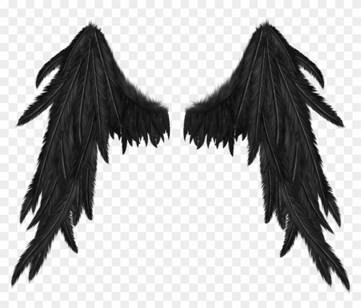 Demon Wings No Background, HD Png Download - 1024x1024(#1377626) - PngFind