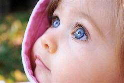cute blue eyed babies - Yahoo Image Search Results