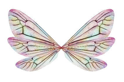 iridescent fairy wings