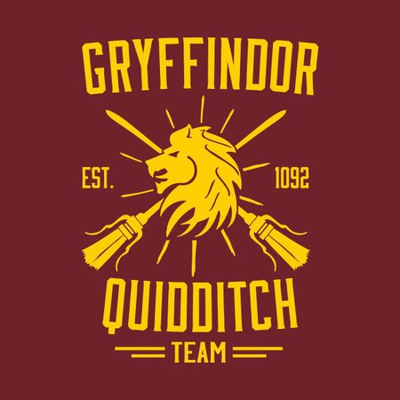 Gryffindor quidditch team.