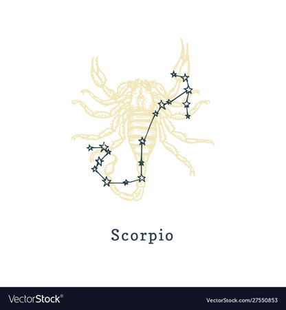 Zodiacal constellation scorpion on background Vector Image
