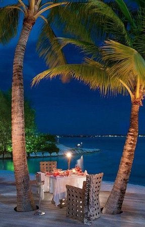 tropical dinner