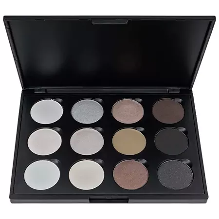 Amazon.com : SHANY 12 Color Smoky Eye shadow Palette : Eye Shadows : Beauty & Personal Care