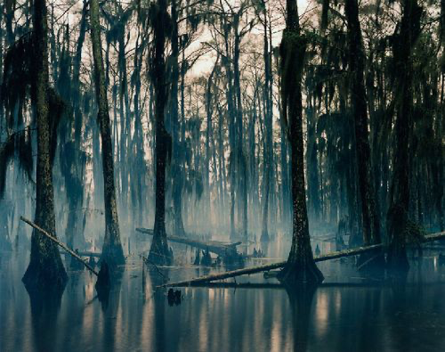bayou swamp Southern Gothic aesthetic
