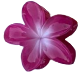 maroon hibiscus flower hair claw clips