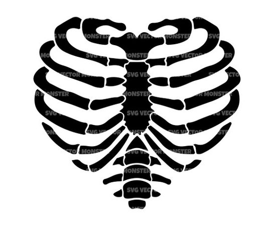 skeleton bone heart - Google Search
