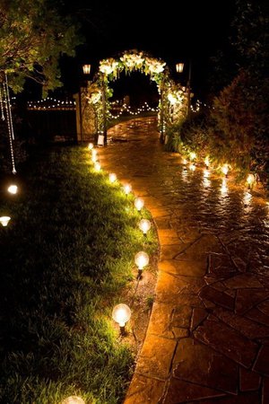 garden at night with lights - Google Search