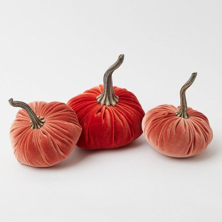 Velvet Pumpkin Family – Mrs. Alice