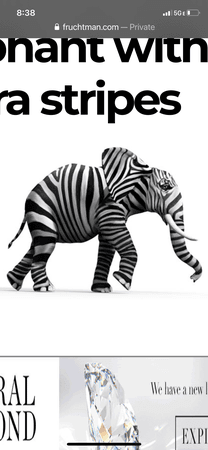 striped elephant