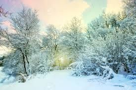 winter background - Google Search